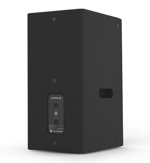 REYN AUDIO RA15F 單15寸點聲源揚聲器 